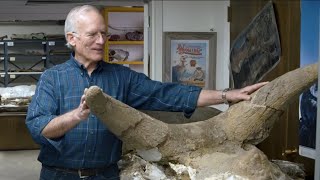 10000 Dinosaurs Buried in Wyoming During Noahs Flood  Dr Arthur Chadwick [upl. by Ailyn51]