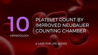 PLATELET DISORDERS made easy Lifecycle and Classification [upl. by Tnomad]