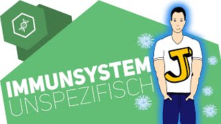 Unspezifische Immunabwehr  Immunsystem [upl. by Lleira798]