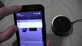 How to Setup the Amazon Echo Dot [upl. by Kling948]