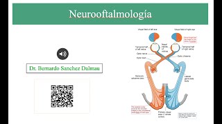 Patología del Nervio Óptico [upl. by Hawkins]