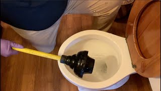 How to use a plunger correctly and use the RIGHT plunger [upl. by Dnumsed]