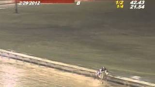 Worst Horse Racing Accident Ive ever seen [upl. by Lleinad]