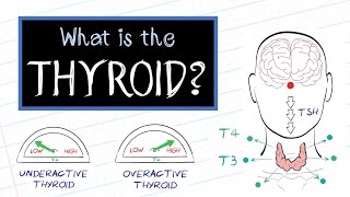 What is Thyroid Disease HealthSketch [upl. by Atnima]