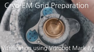 CryoEM Grid Preparation  Vitrification using Vitrobot Mark IV [upl. by Dnalyr]