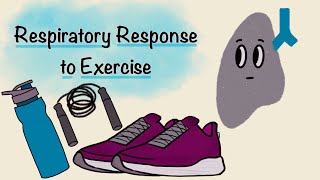 Premature Ventricular Contractions PVCs Animation [upl. by Imis]