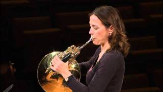 Berliner Philharmoniker Master Class  Horn [upl. by Teddi48]