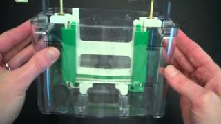 SDS PAGE Part 1 Assembly and Electrophoresis [upl. by Krauss340]