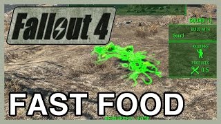 Fallout 4 Fast Food amp Quick Start Farming Guide  WikiGameGuides [upl. by Tamera]