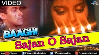 Saajan O Saajan Baaghi [upl. by Dittman536]