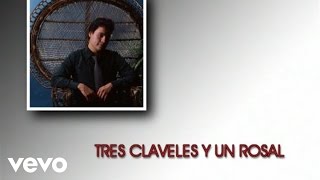 Juan Gabriel  Tres Claveles y Un Rosal Cover AudioVideo [upl. by Hnim276]