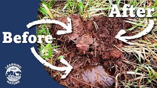 How to fix Waterlogged Soil [upl. by Ayiak208]