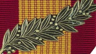 Vietnam RVN Gallantry Cross Medal  Medals of America [upl. by Akoyin242]