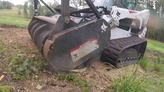 Forestry Mulcher vs fir and oak stumps [upl. by Eiggam]