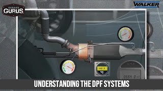 Understanding the DPF Systems [upl. by Ramyaj]