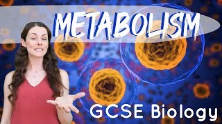 Metabolism  GCSE Biology [upl. by Akemal]