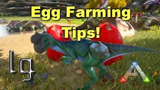 ARK Survival Evolved  Egg Farming Featuring Oviraptor Boost [upl. by Euqininod]