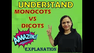 Monocots Vs Dicots  Amazing Explanation [upl. by Alleunam]