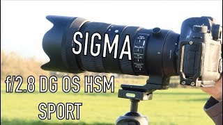 Sigma 70200mm f28 DG OS HSM SPORT  Overview amp Sample Photos [upl. by Fletch]