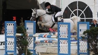 Al Ashar Vollblutaraber LStil Springen  Arabian Horse  Show Jumping [upl. by Melantha]