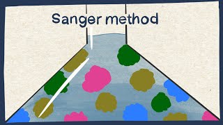 Sanger method DNA sequencing  Biology tutorial [upl. by Cheria]