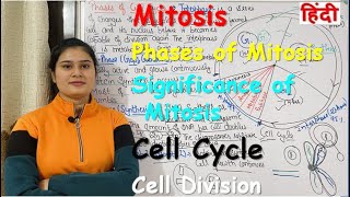 Mitosis in Hindi  Cell Cycle  Cell Division  Phases of Mitosis  Significance of Mitosis [upl. by Kaitlin]