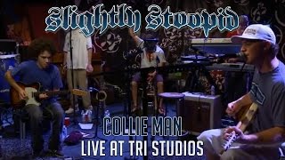 Collie Man  Slightly Stoopid Live at Robertos TRI Studios [upl. by Diskson]