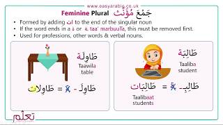 Beginners Arabic  Lesson 14  Arabic Plurals [upl. by Alban]