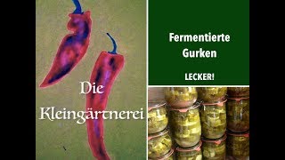 Gurkenschwemme Gurken fermentieren  Salzgurken milchsauer einlegen [upl. by Sieracki]