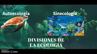 Divisiones de la Ecología [upl. by Ecineg192]