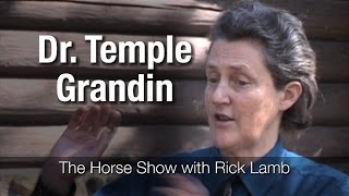 Dr Temple Grandin on how horses think [upl. by Alleahcim]