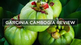 Garcinia Cambogia Weight Loss amp Side Effects  Review [upl. by Iddet]