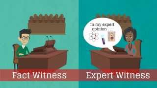 What is an expert witness [upl. by Ayotl401]