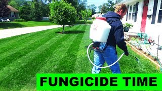 Putting down chemical lawn fungicide [upl. by Ninnahc]