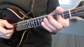 Cooleys Reel with Tabs  Mandolin Lesson [upl. by Brantley]