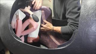 VSI Equine Palpation Colic Simulator [upl. by Airitac]