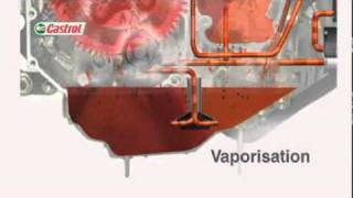 Trizone Explained [upl. by Haliled]