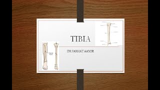 Tibia Bone [upl. by Ayam544]