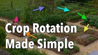 Crop Rotation Made Simple  Rotate Your Vegetable Beds for Healthier Produce [upl. by Monahon356]