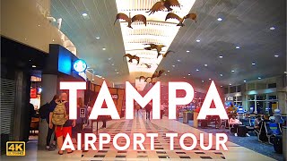 Tampa Airport Tour International 4k TPA [upl. by Neved]