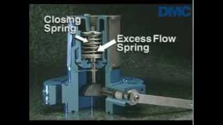 An Introduction to RegO LP Gas Internal Valves [upl. by Emmeram848]