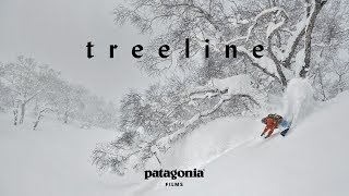 Treeline  The Secret Life of Trees  Patagonia Films [upl. by Emerick]