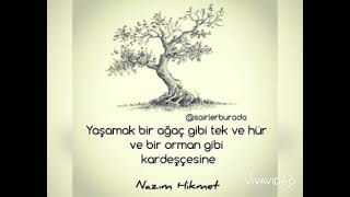 Nazim Hikmet Davet şiiri [upl. by Yee]