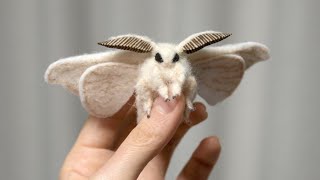 21 Most Incredible Moth Species [upl. by Charity771]