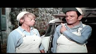 Green Acres The Monroe Bros clip [upl. by Anaerda]