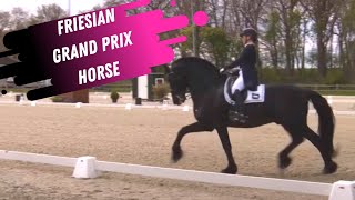 Friesian Grand Prix Dressage Horse [upl. by Yennor]