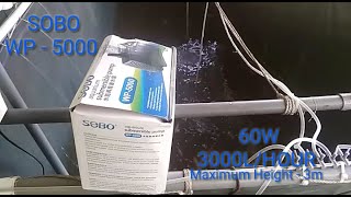 REVIEW  SOBO Aquarium Submersible Pump WP5000 [upl. by Sellig]