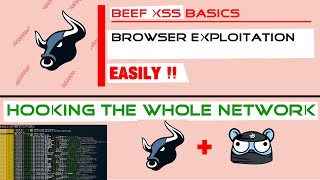 Basics of using the BeefXSS To Advanced  Bettercap [upl. by Ennyrb]