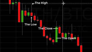 Reading A Crypto Candlestick Chart Basics [upl. by Aeki]