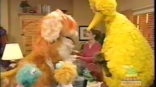 Sesame Street Noisy Sleepover at Ginas 2000 [upl. by Assilym]